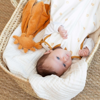 Bébé qui est dans le couffin avec son doudou Igor