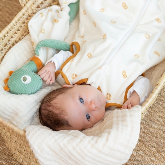 Dinosaur lovey blanket