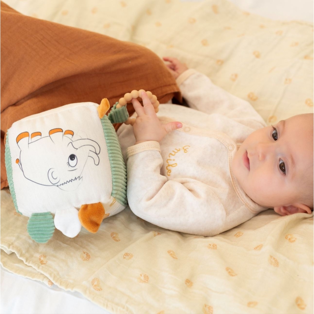 Baby die speelt met zijn ontwikkelkubus