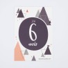 Tarjetas de etapas - u00ABMi primer Añou00BB - 10