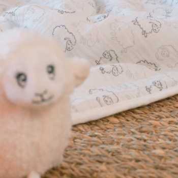 Copertina con piccolo agnello presente