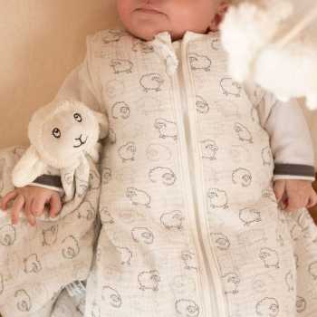 Bébé dans sa gigoteuse avec son doudou