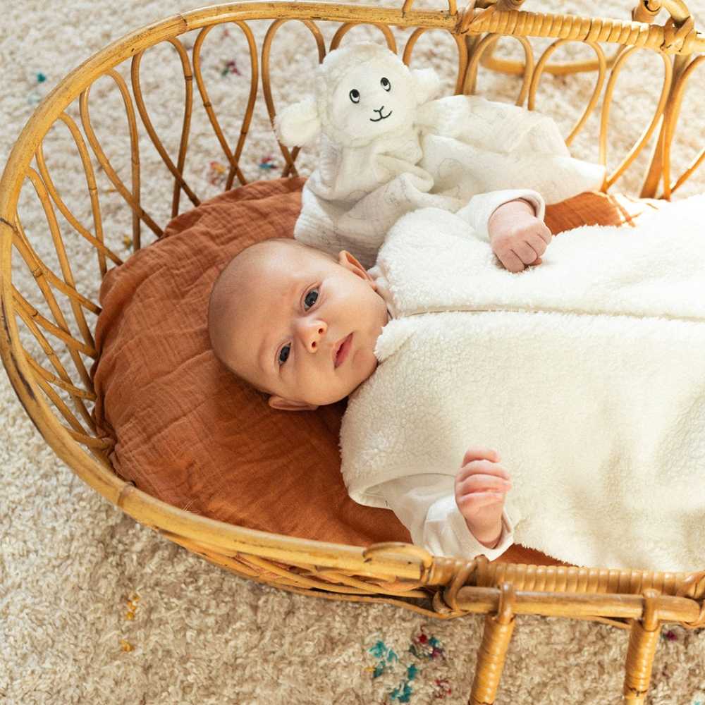 Baby in seinem Sherpa-Schlafsack mit seinem Kuscheltier