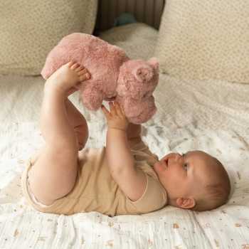 musical plush toy with baby