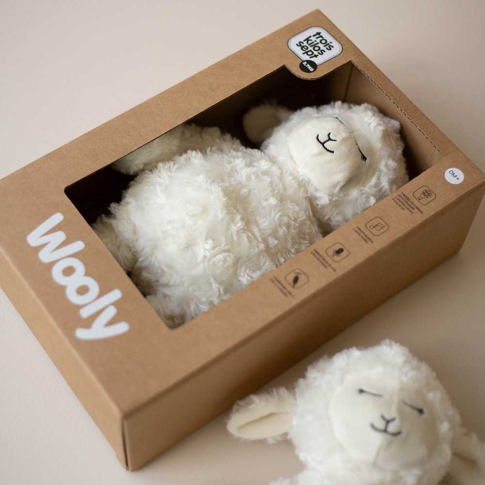 lamparita Wooly en su caja