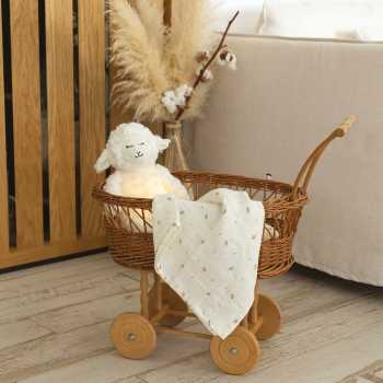 Luce notturna wooly nella sua culla con fasce.