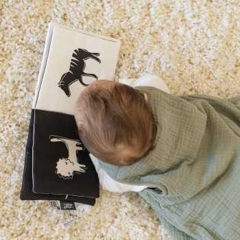 Bébé regarde son livre dans sa gigoteuse