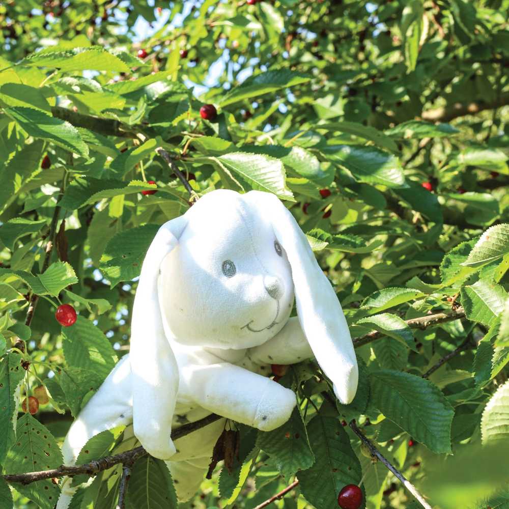Kügelchen-Plüschtier Hase Trois Kilos Sept - 3