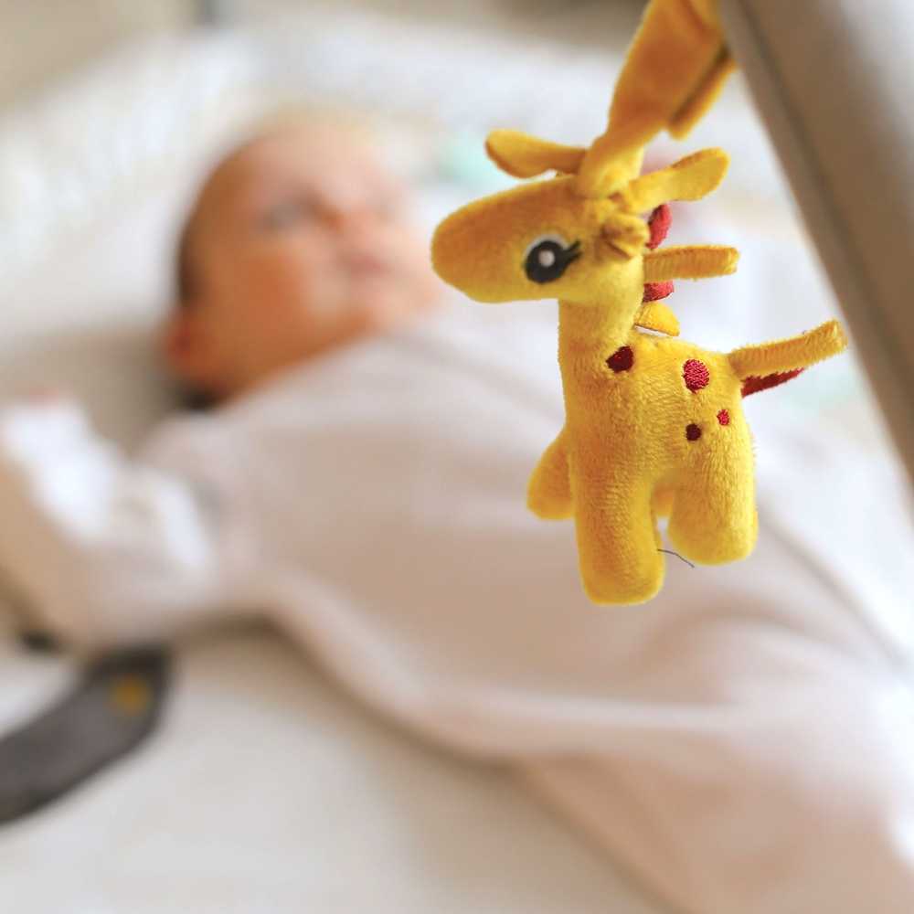 Matte mit Giraffe