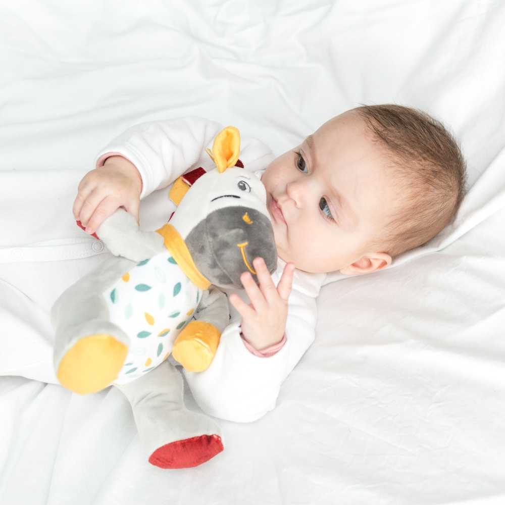 Peluche musicale