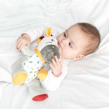 Musical plush toy