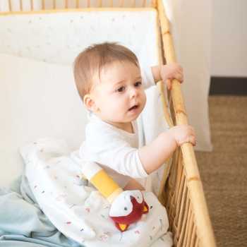 Bambino nel suo lettino con la sua coperta e il suo sonaglio a forma di volpe