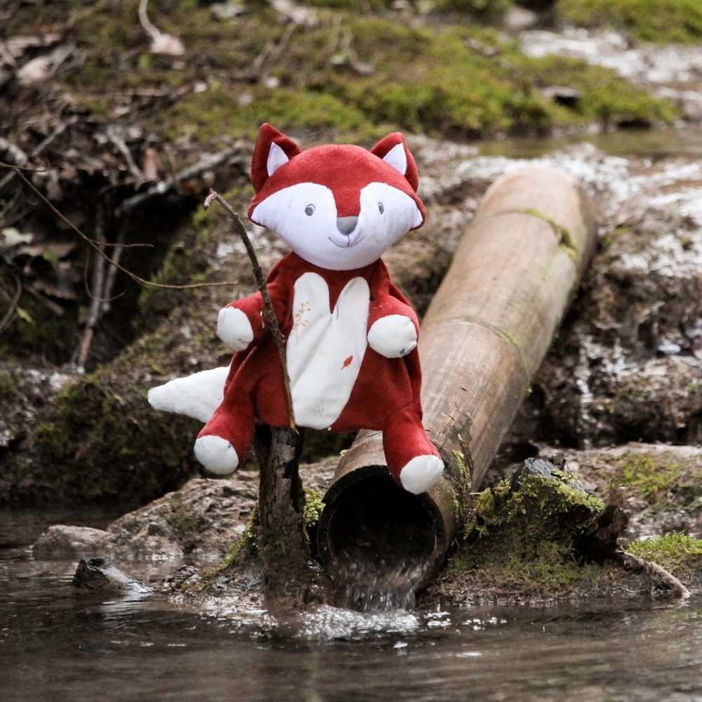 Léonard de vos handpop in scène gezet aan de rand van een rivier in het bos