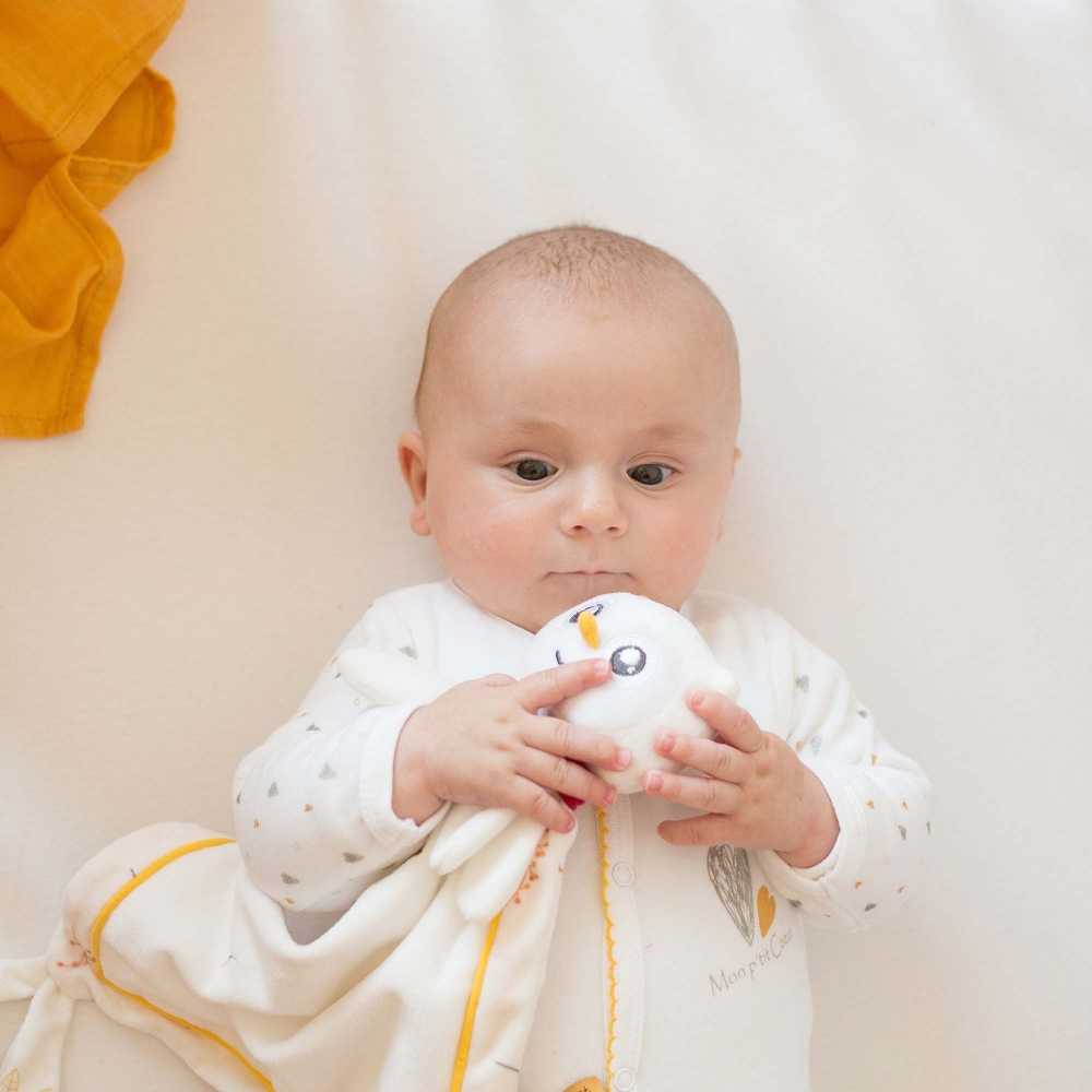 Bébé avec doudou chouette de cache cache en forêt