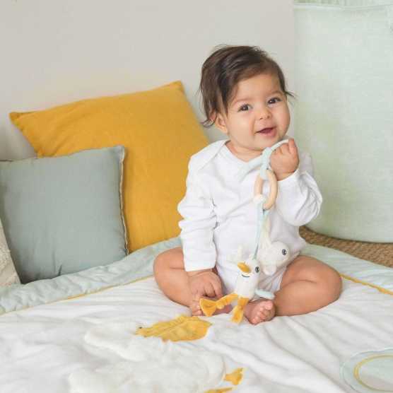 Baby-Entwicklungsring