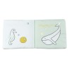 baby whale awakening book