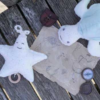 starfish and sea turtle on a dock