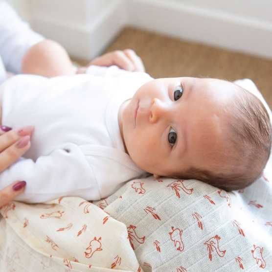 Set luiers met kleine gansjes