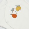 Zoom auf die 3 Früchte, die auf dem Geburts-Body gezeichnet sind