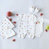 Geboorte kit gepresenteerd met echte appels en kleine aardbeien
