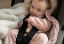 Nid d'ange ceinture securité bébé
