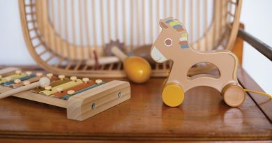 jouets-bois-bebe